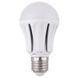 AC/DC24V 80ra 10W E27 LED Light Bulb