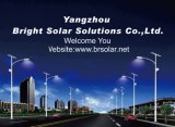 Solar Lights Manufacturer for 30W LED Light