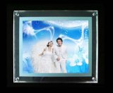 Crystal LED Light Box for Wedding