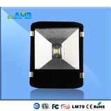 IP65 Tunnel Wall Lighting LED Lamp 80W Outdoor Light