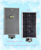Best Selling Outdoor LED Light in China