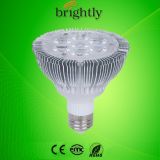 PAR30 Lamp 10W 600lm E27 LED Spotlight