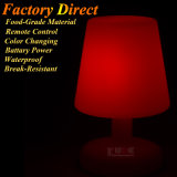 Dimmable LED Table Lamp Beside Lamps with Remote Control