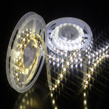 12V 600 LEDs Decoration Flexible LED Strip Light