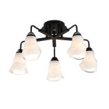 Chandelier Ceiling Lamps Down Lights (GX-8107-5)