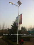 30W Solar LED Street Light for Country Road