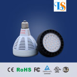 Long Lifespan E27 E26 Osram LED PAR30 Spot Light Bulbs
