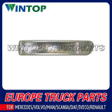 Corner Lamp for Iveco 42555023 LH