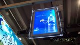 Doubles Sides Hanging LED Crystal Light Box for Advertising