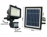 LED Solar Motion Light/Solar Garden Light (SRE-SFG-042)