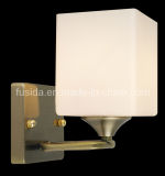 European Style Glass Wall Lamp/Light (8115/1WA)