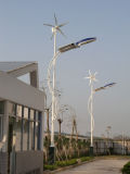 Wind and PV Hybrid Street Light