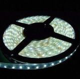 LED Strip Light--30LEDS/M SMD3528 36W