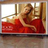 Factory Prcie P10 Outdoor Big Advertising LED Display