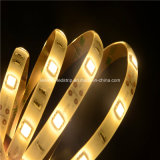 SMD 5050 30 LEDs/M Flexible LED Strip Light