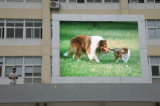 P8mm Outdoor Full Color LED Display / LED Display