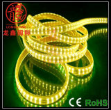 Outdoor Decoration Double Row 5050 LED Strip Light