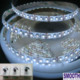 Dimmable LED Strip Light (SL-3528-600A-D)