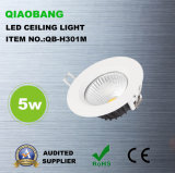 5W High Quality LED Ceiling Light (QB-H301M)