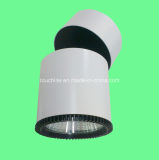 Adjustable and Rotatable LED Ceiling Mounted Light