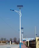 Solar 40W LED Street Road Lamp Light Ssl-0040