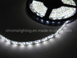 LED Strip Lights, 5050 Strip Light, Flexible LED Strip Light, IP65