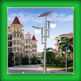 Solar Garden LED Light 4m (CH-TYN269)