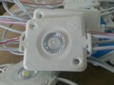1.6W 12V 120 Lumens High Power LED Module for Light Box, Light Box LED Modules, Nichia Osram LED Module for Lightbox (LL-F12P600W1L40)