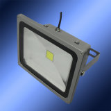 20W/30W LED Wall Washer (CH-DY-30WX-1-A3)