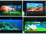 P4 Indoor Soft LED Curtain Video Display (Galaxias 4)