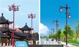 Chinese Style Outdoor LED Street Light (BDD107-108)