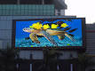 Popular Mobile Advertising Outdoor P10 Full Color LED Display