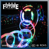 Future 12W/M RGB LED Strip Light /LED Light