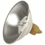 Energy Saving Ceiling Lamp, High Bay Light