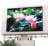 Single Color LED Display/P12outdoor Single Color LED Display