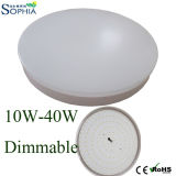 LED Ceiling Light, Dimmable Ceiling, LED Downlight, Decoration Light, Professional Light