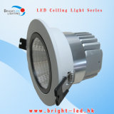 Epistar COB LED Down Light (BL-DLC-10W)