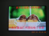 LED Display (P10 Indoor RGB Full Color)