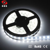 SMD LED Strip Lights with Factory Price (5050)
