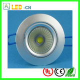 CE/RoHS 1*10W High Power LED Ceiling Light