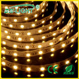 High Brightness SMD5730 300LEDs LED Strip Light