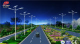 Wbrd-003 60W LED Solar Light with Intelligent and Light Controlled