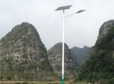 IP65 60W Solar Lamp with LED Light Source Outdoor Light