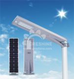 30W Smart Controller All in One Solar LED Street Light