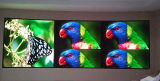 Full Color LED Display Panel for Indoor Screen (P2.5)