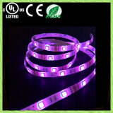 UL Certification RGB LED Flexible Strip, Decoration Furniture Light