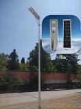 40W Waterproof IP65 Induction All in One Solar Street Light