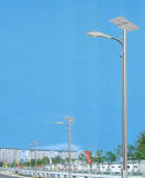 Wbr062 30W Single Lamp Solar LED Street Light