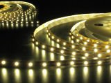 5050 SMD LED Strip/ LED Strip Light/ LED Bars