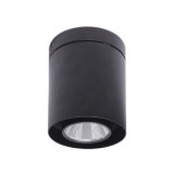 Upscale 30W Cylinder Aluminum White/Black LED Down Light